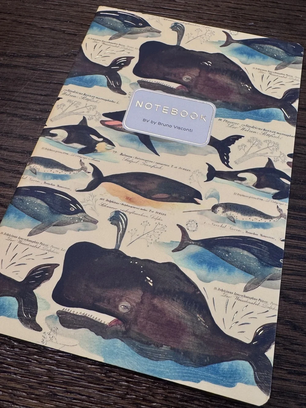 Bruno Visconti Soft Touch Whales Notebook Journal A5 NEW